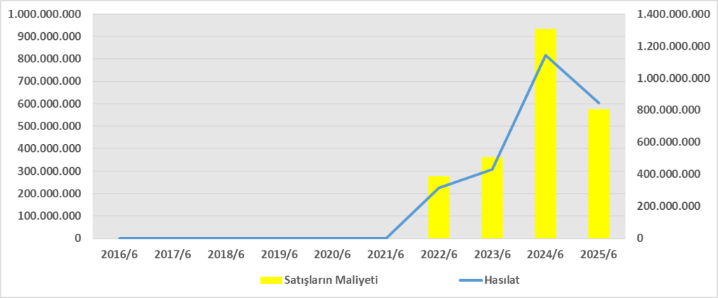 BVSAN BİLANÇO ANALİZİ 2025/6 Image 1345 1024x426