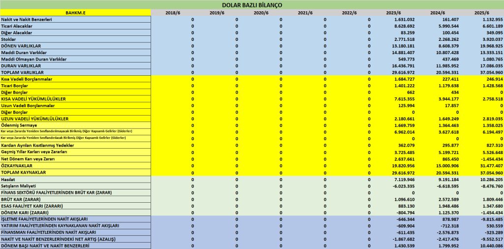 BAHKM BİLANÇO ANALİZİ 2025/6 Image 1761 1024x506