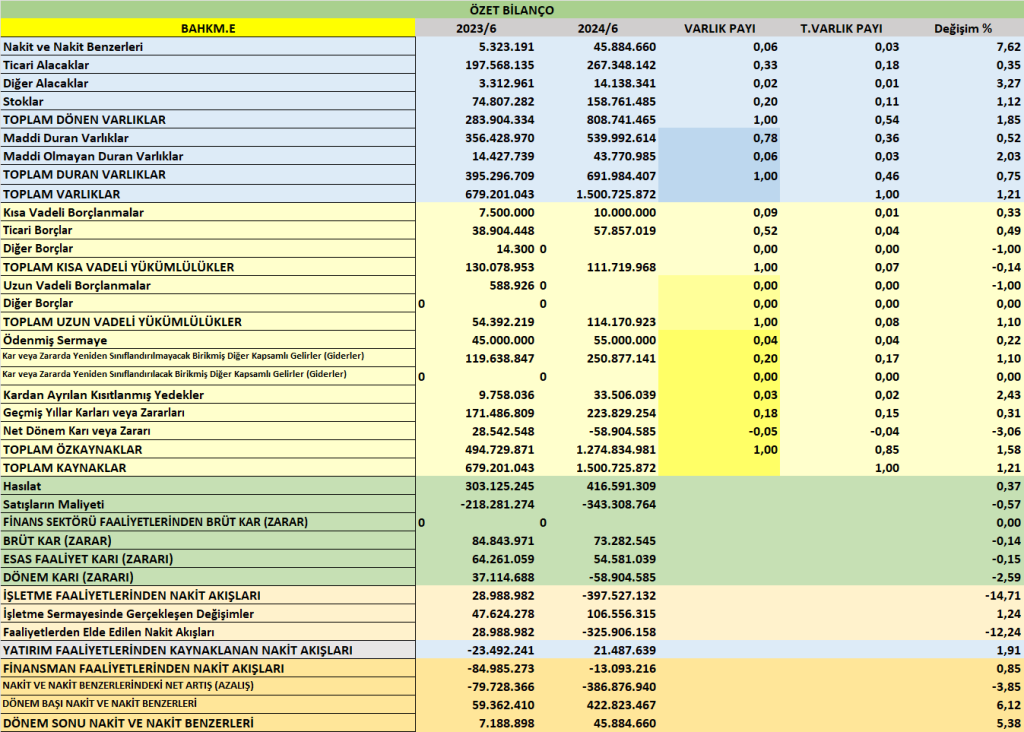 BAHKM BİLANÇO ANALİZİ 2025/6 Image 1762 1024x732