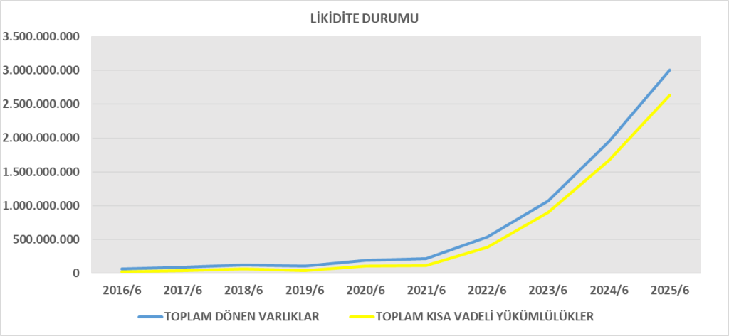 DESPC BİLANÇO ANALİZİ 2025/6 Image 199 1024x473