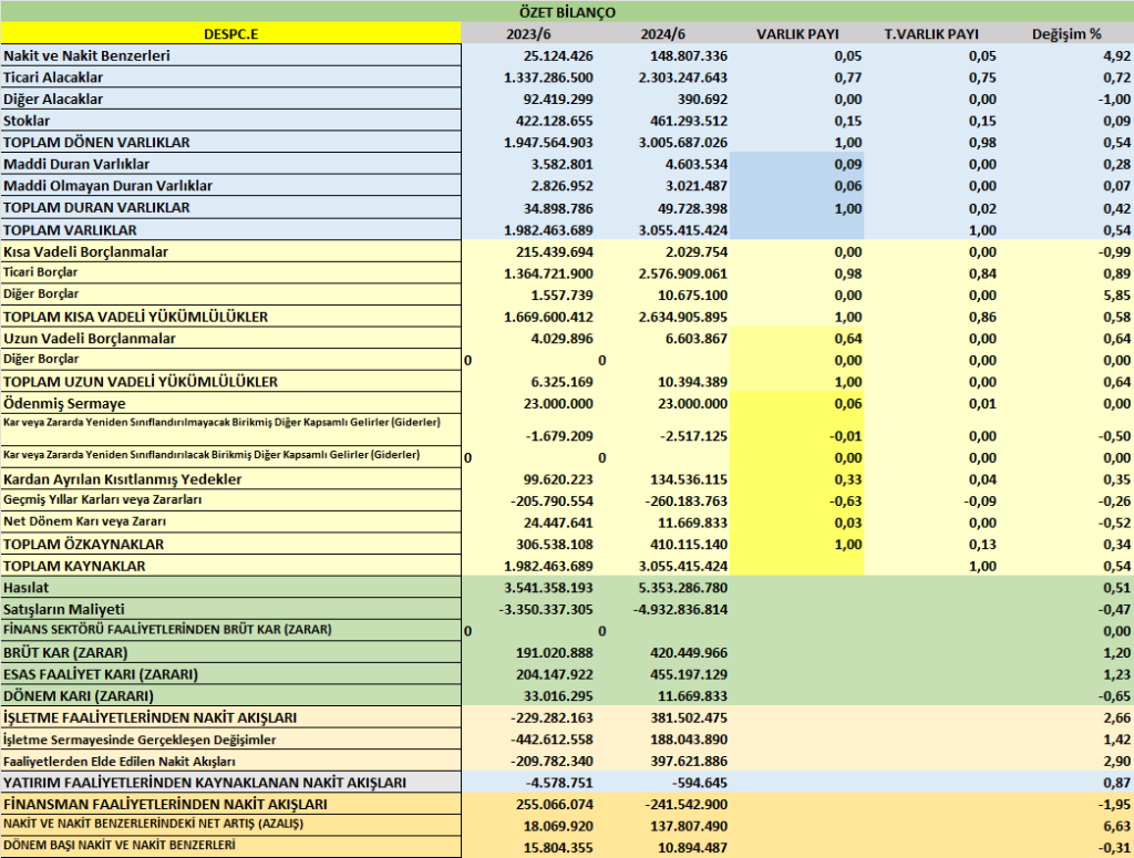 DESPC BİLANÇO ANALİZİ 2025/6 Image 207 1024x775