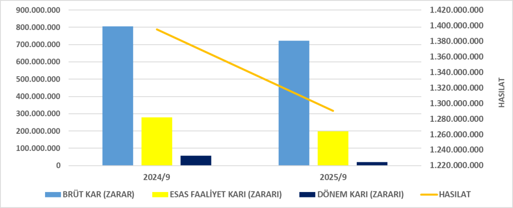 INTEM BİLANÇO ANALİZİ 2025/9 Image 2313 1024x415