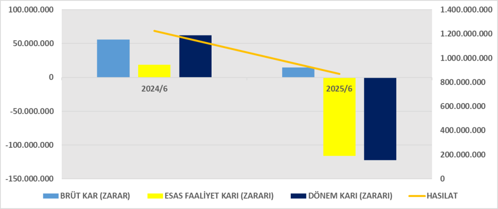 SILVR BİLANÇO ANALİZİ 2025/6 Image 305 1024x430