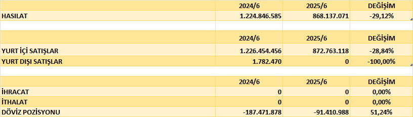 SILVR BİLANÇO ANALİZİ 2025/6 Image 308