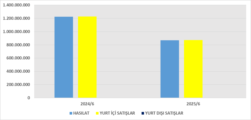 SILVR BİLANÇO ANALİZİ 2025/6 Image 309 1024x489
