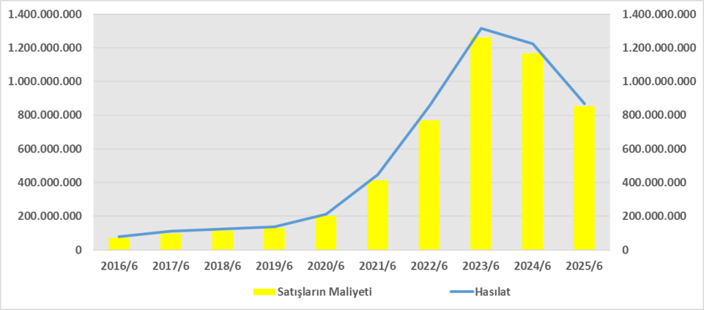 SILVR BİLANÇO ANALİZİ 2025/6 Image 310 1024x451