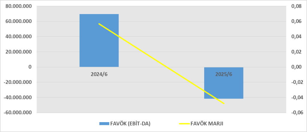 SILVR BİLANÇO ANALİZİ 2025/6 Image 312 1024x442