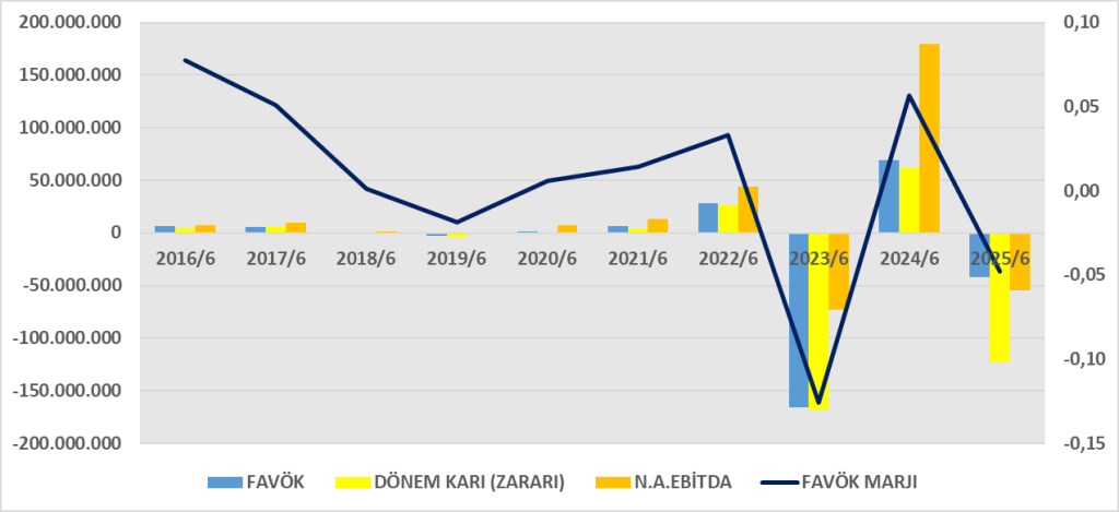 SILVR BİLANÇO ANALİZİ 2025/6 Image 313 1024x469