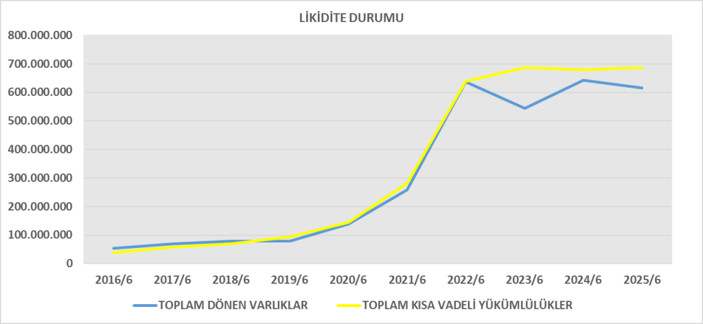 SILVR BİLANÇO ANALİZİ 2025/6 Image 314 1024x473