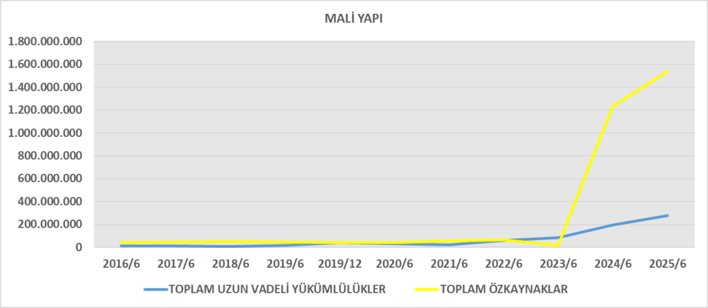 SILVR BİLANÇO ANALİZİ 2025/6 Image 315 1024x445