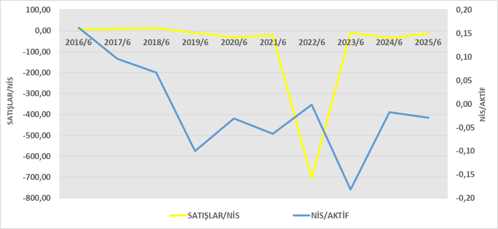 SILVR BİLANÇO ANALİZİ 2025/6 Image 317 1024x471