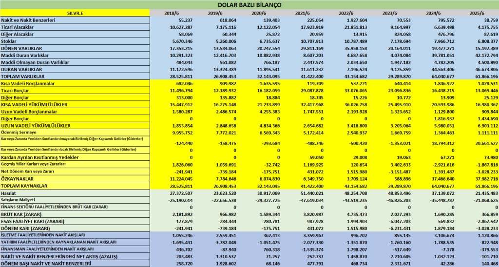 SILVR BİLANÇO ANALİZİ 2025/6 Image 321 1024x548