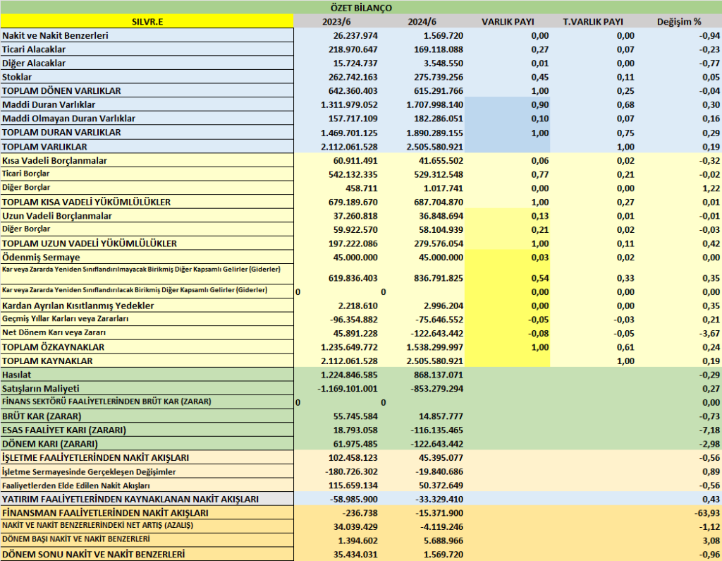 SILVR BİLANÇO ANALİZİ 2025/6 Image 322 1024x795