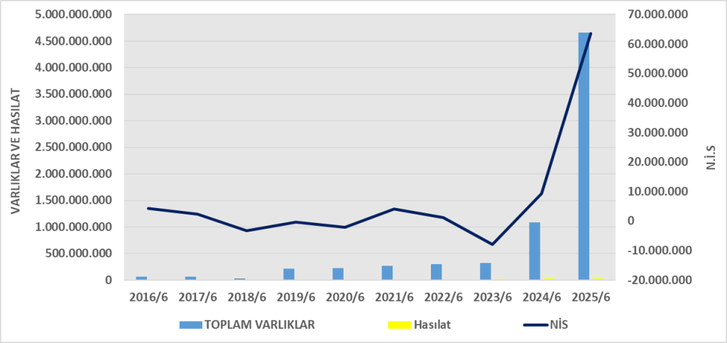 SONME BİLANÇO ANALİZİ 2025/6 Image 392 1024x483