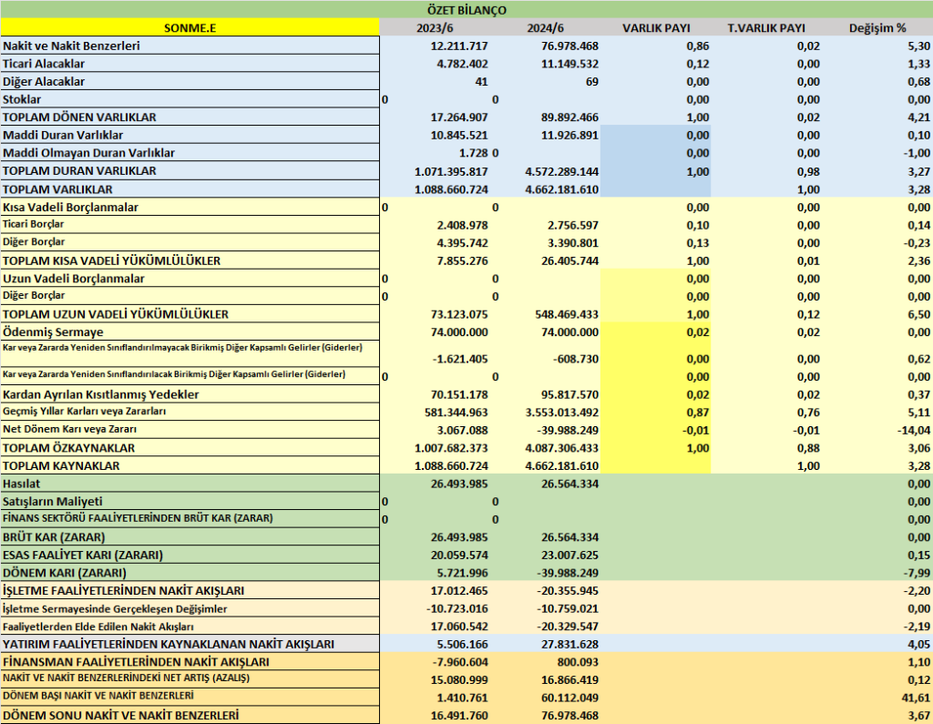 SONME BİLANÇO ANALİZİ 2025/6 Image 398 1024x795