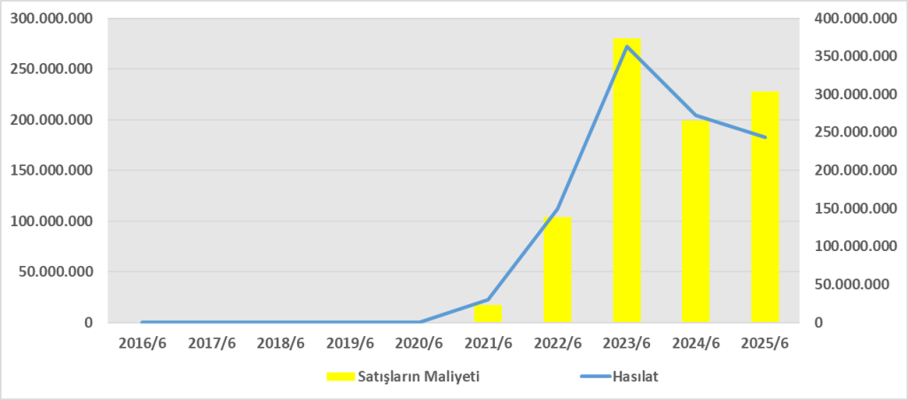 ENSRI BİLANÇO ANALİZİ 2025/6 Image 684 1024x451