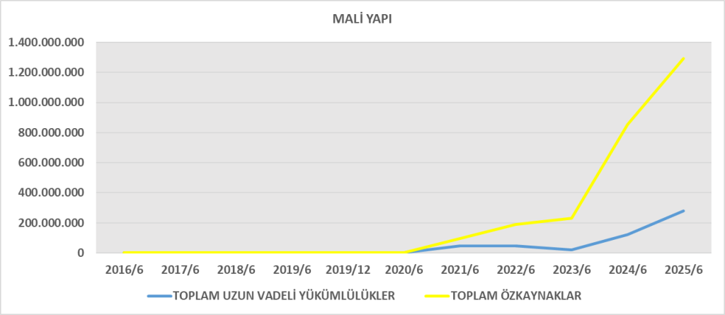 ENSRI BİLANÇO ANALİZİ 2025/6 Image 689 1024x445