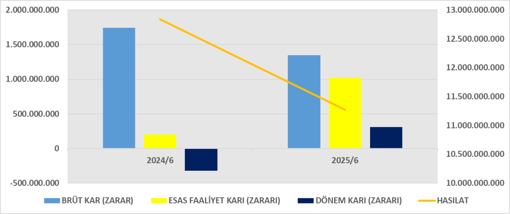 SARTN BİLANÇO ANALİZİ 2025/6 Image 698 1024x430