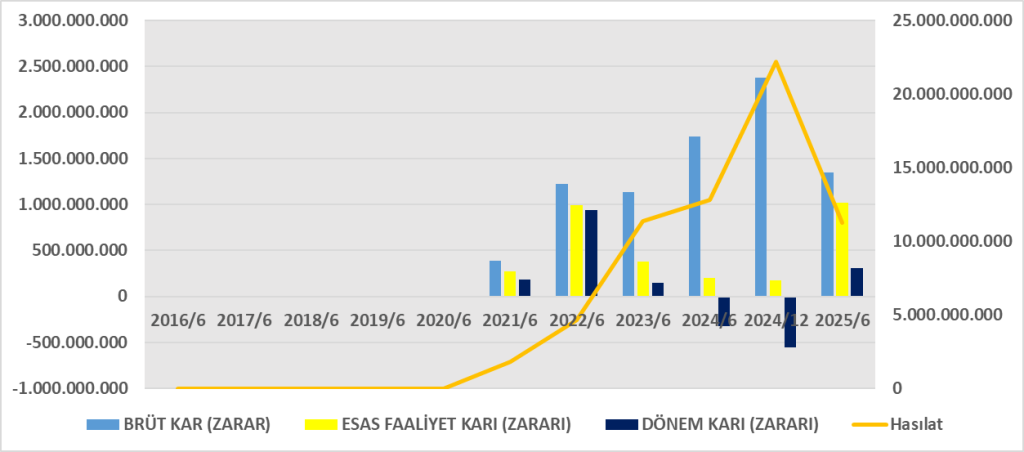 SARTN BİLANÇO ANALİZİ 2025/6 Image 699 1024x452