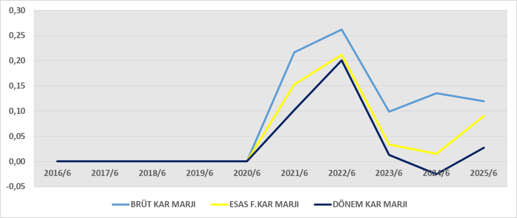 SARTN BİLANÇO ANALİZİ 2025/6 Image 700 1024x433