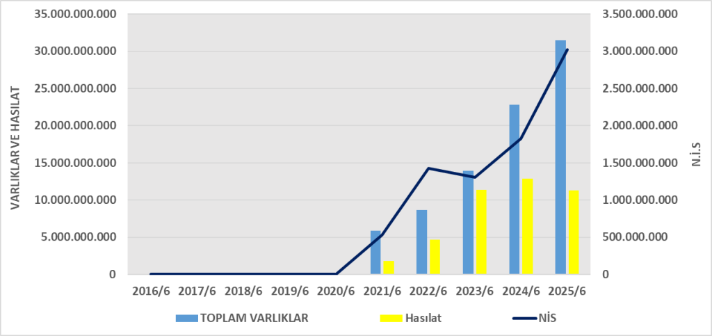SARTN BİLANÇO ANALİZİ 2025/6 Image 709 1024x483