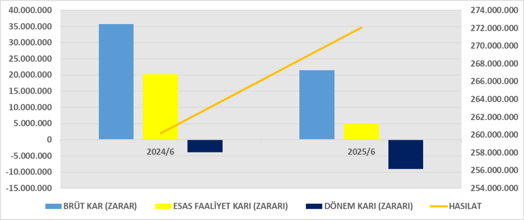 GRNYO BİLANÇO ANALİZİ 2025/6 Image 76 1024x430