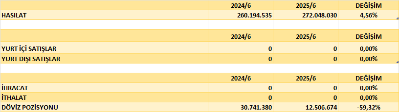GRNYO BİLANÇO ANALİZİ 2025/6 Image 79