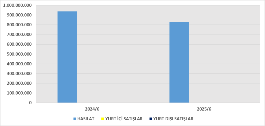 INTEM BİLANÇO ANALİZİ 2025/6 Image 99 1024x489