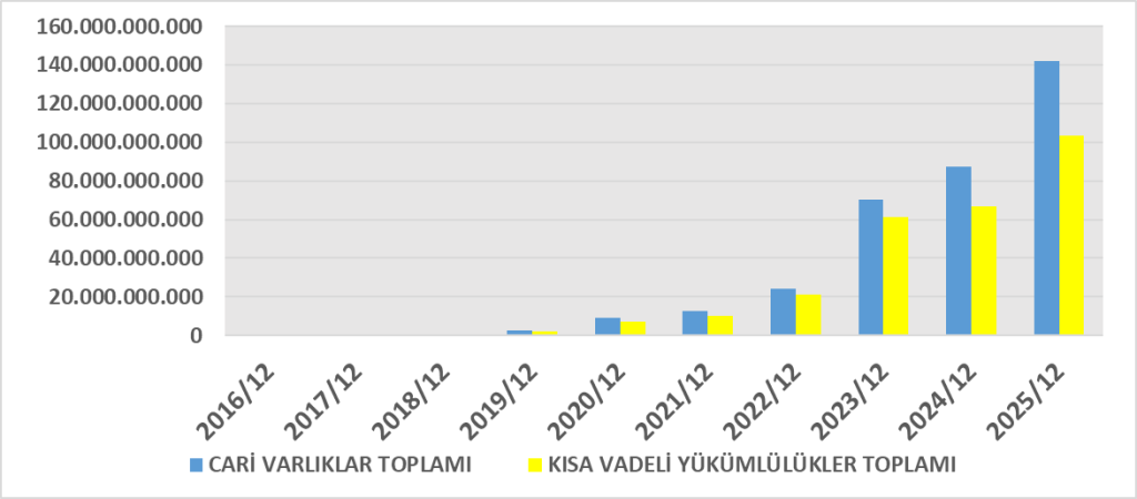TURSG BİLANÇO ANALİZİ 2025/12 Image 25 1024x450