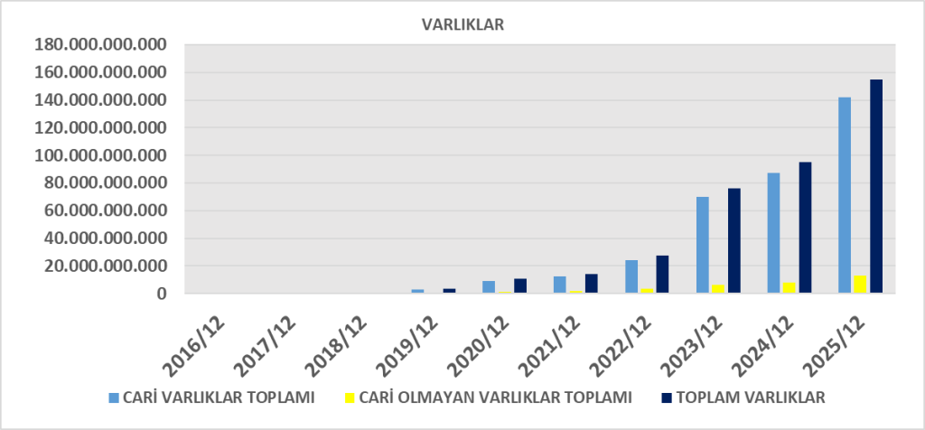 TURSG BİLANÇO ANALİZİ 2025/12 Image 27 1024x476