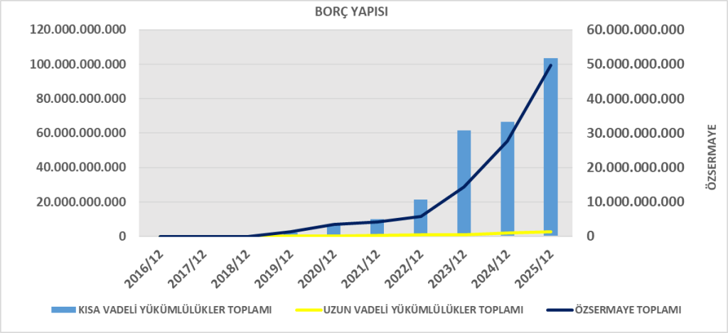 TURSG BİLANÇO ANALİZİ 2025/12 Image 29 1024x469