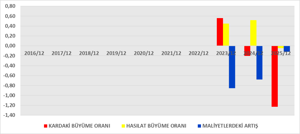 HATSN BİLANÇO ANALİZİ 2025/12 Image 120 1024x458
