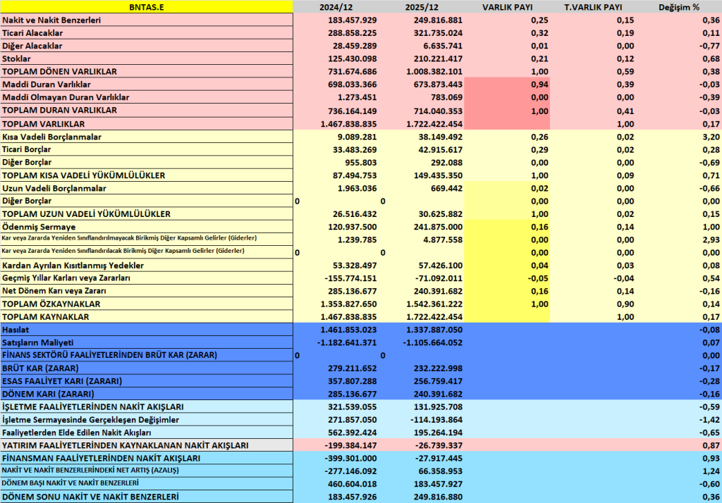 BNTAS BİLANÇO ANALİZİ 2025/12 Image 547 1024x714