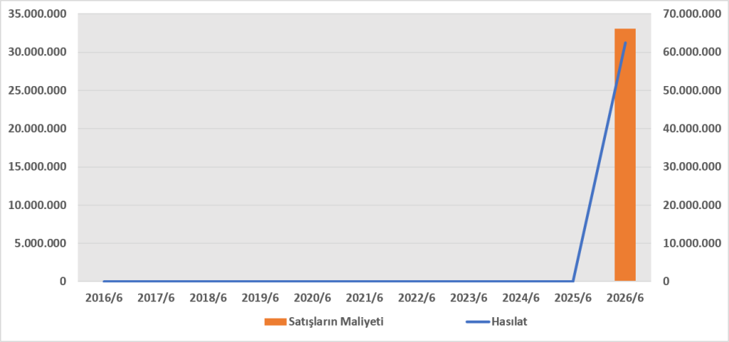 SURGY BİLANÇO ANALİZİ 2026/6 image