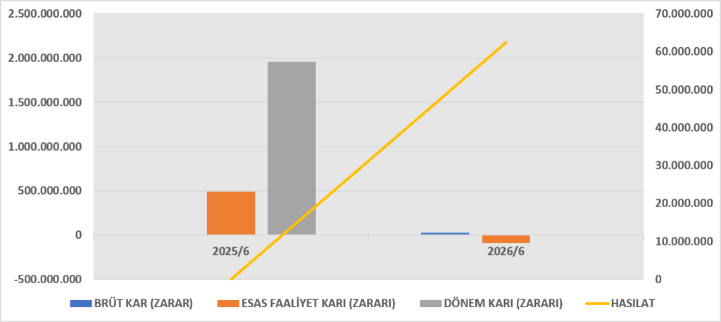 SURGY BİLANÇO ANALİZİ 2026/6 image