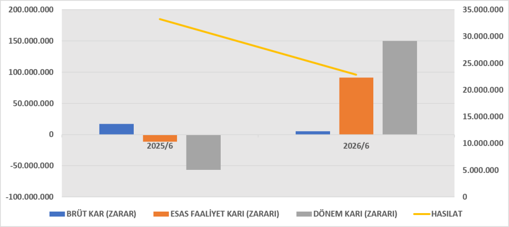 ZERGY BİLANÇO ANALİZİ 2026/6 image