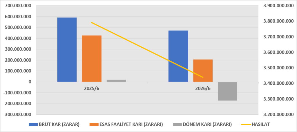 CEMTS BİLANÇO ANALİZİ 2026/6 image