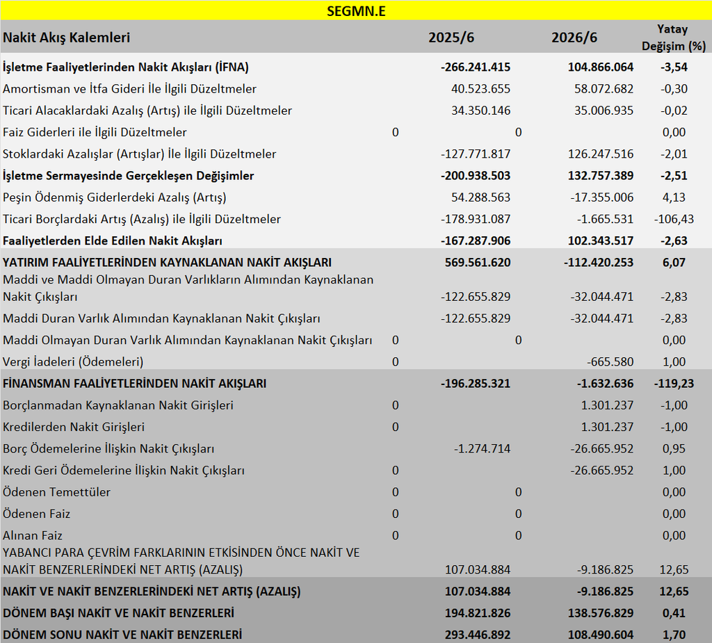 SEGMN BİLANÇO ANALİZİ 2026/6 image