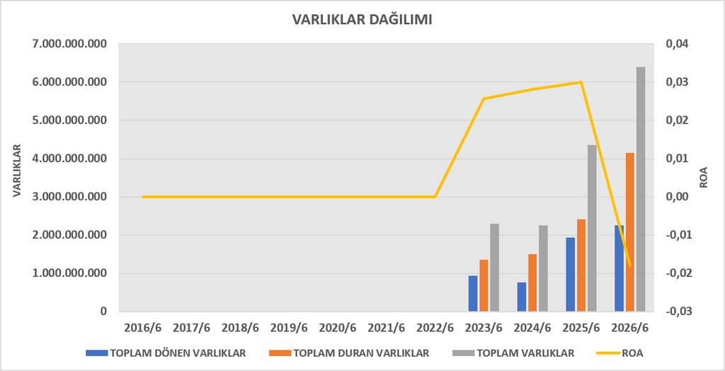 SEGMN BİLANÇO ANALİZİ 2026/6 image