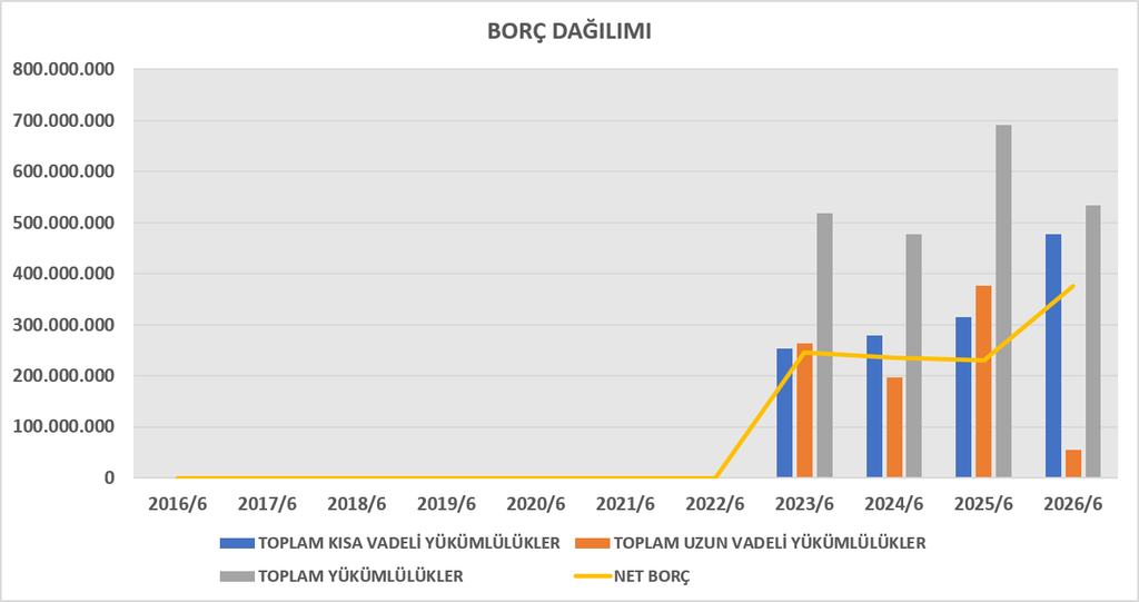 SEGMN BİLANÇO ANALİZİ 2026/6 image