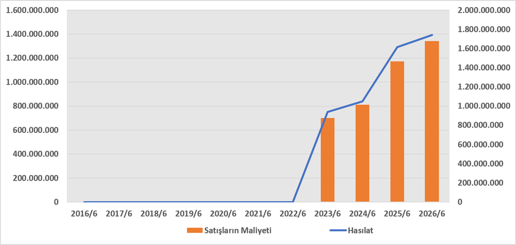 SEGMN BİLANÇO ANALİZİ 2026/6 image