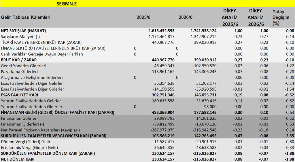 SEGMN BİLANÇO ANALİZİ 2026/6 image
